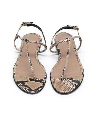 Shop 8 By Yoox Toe Strap Sandals In Beige