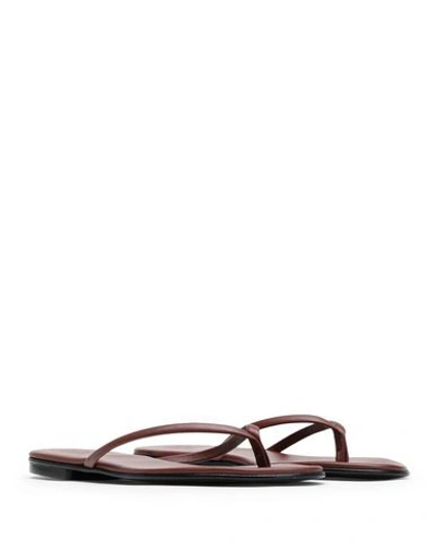 Shop 8 By Yoox Toe Strap Sandals In Brown