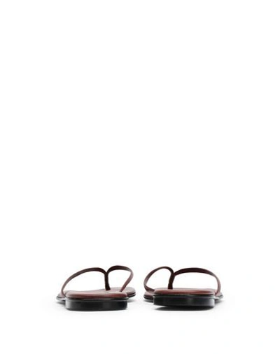 Shop 8 By Yoox Toe Strap Sandals In Brown