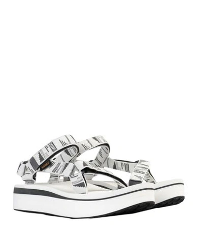 Shop Teva Sandals In White