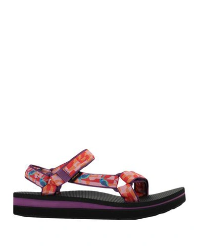 Shop Teva Sandals In Purple