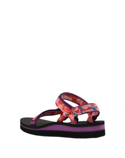 Shop Teva Sandals In Purple