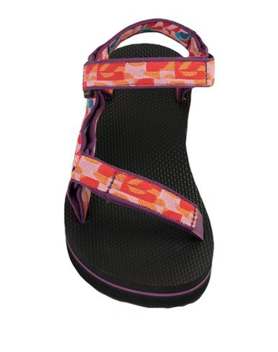 Shop Teva Sandals In Purple