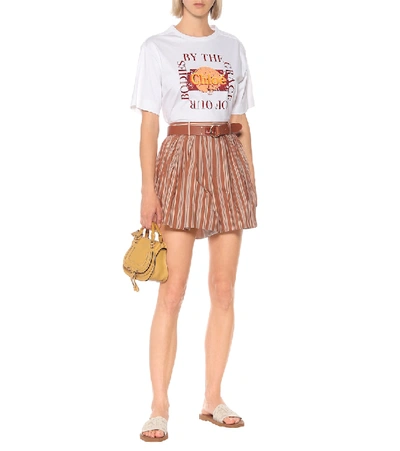 Shop Chloé Striped Cotton Shorts In Orange