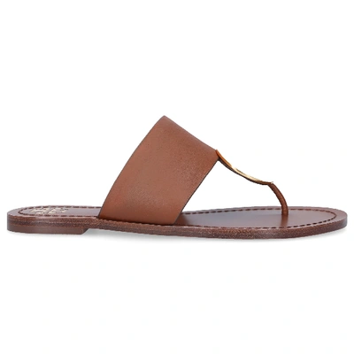 Shop Tory Burch Sandals Patos In Brown