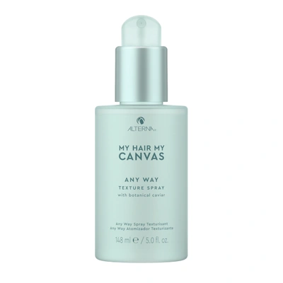 Shop Alterna My Hair. My Canvas. Any Way Texture Spray 5.0oz