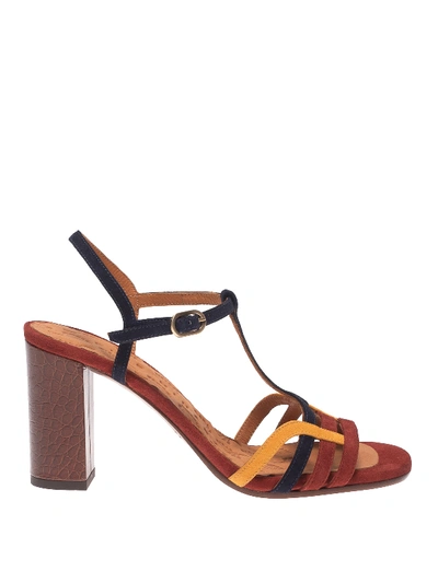 Shop Chie Mihara Bely Multicolour Suede Sandals In Brown