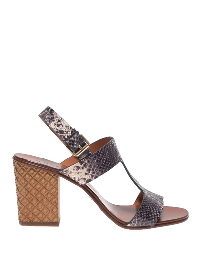Shop Chie Mihara Hein Python Print Leather Sandals In Brown