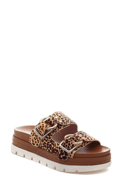 Shop Jslides Baha Slide Sandal In Leopard Print Calf Hair