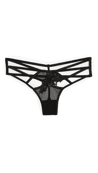 Shop Bluebella Sienna Thong In Black