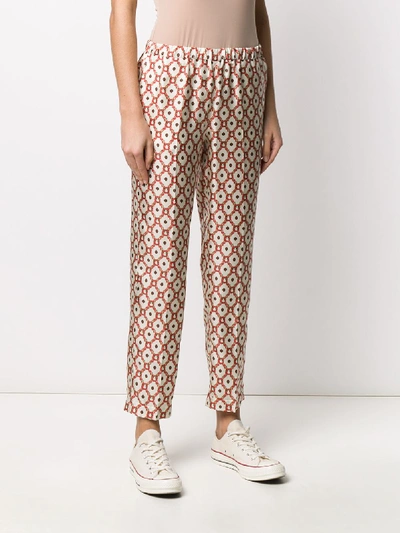 Shop Alberto Biani Floral Patterned Straight-leg Trousers In White