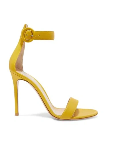 Shop Gianvito Rossi Woman Sandals Yellow Size 11 Soft Leather