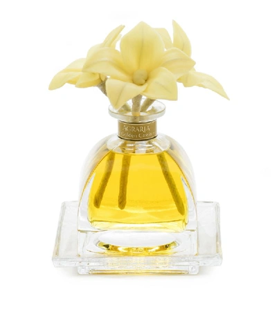 Shop Agraria Golden Cassis Airessence Diffuser