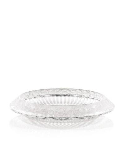 Shop Lalique Crystal Marguerites Bowl In White