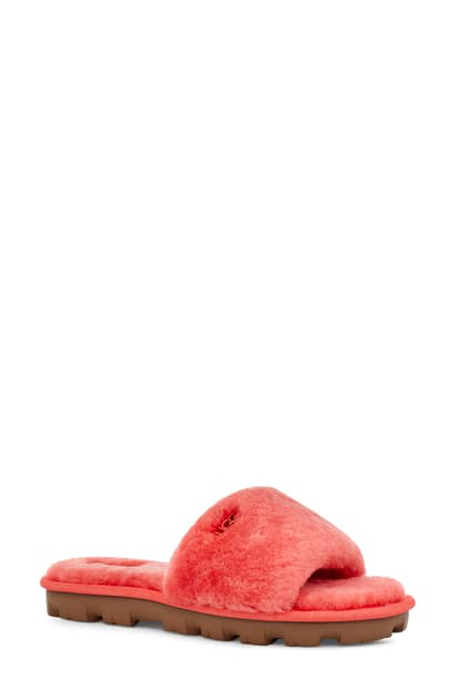 ugg coral sandals