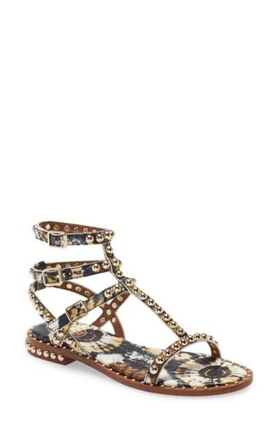 Shop Ash Play Bis Studded Sandal In Cuoio Multi