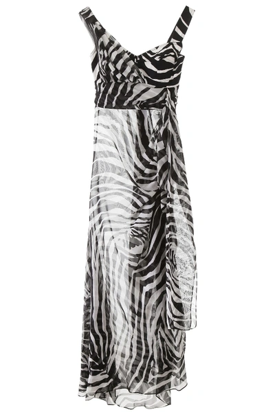 Shop Dolce & Gabbana Zebra Print Chiffon Dress In Zebra Nera Fdobianc (white)