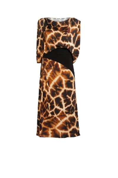 Shop Roberto Cavalli Giraffe Chine Print Draped Dress In Neutrals