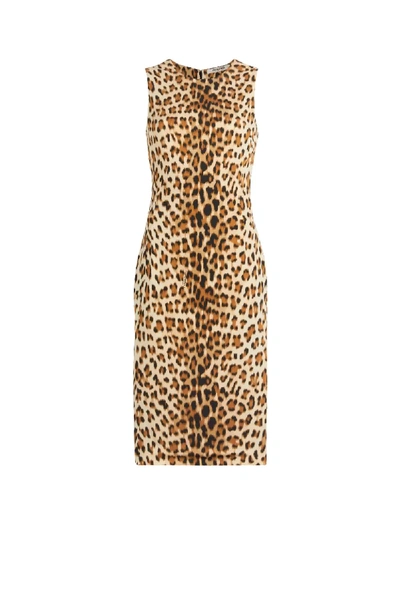 Shop Roberto Cavalli Leopard Chine Print Sleeveless Dress In Neutrals