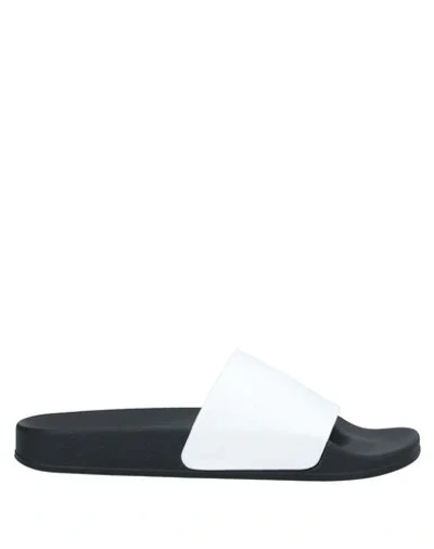 Shop Balmain Sandals In White