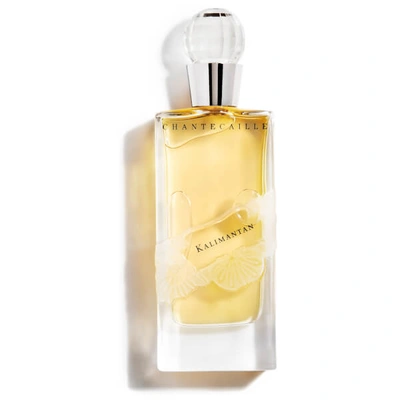 Shop Chantecaille Kalimantan Parfum