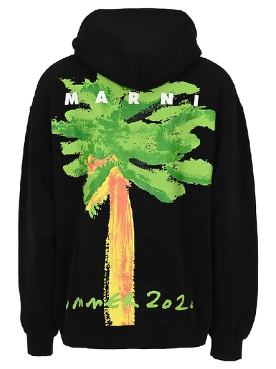 Shop Marni Palm Tree Printed Hoodie In Black