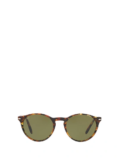 Shop Persol Tortoise Shell Round Frame Sunglasses In Multi