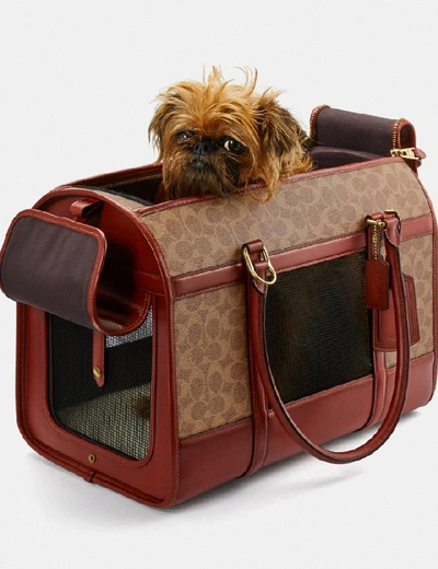 Shop Coach Pet Carrier In Signature Canvas In Brass/tan Rust