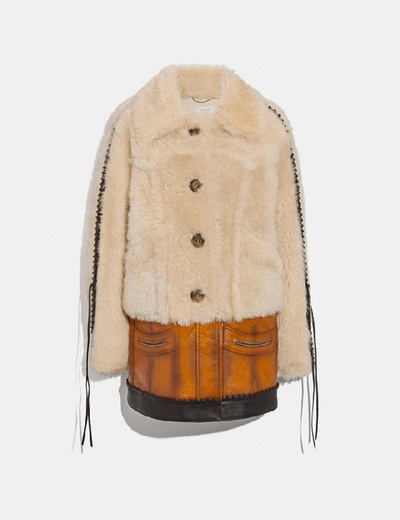 Shop Coach Shearling Leather Coat - Women's In Natural