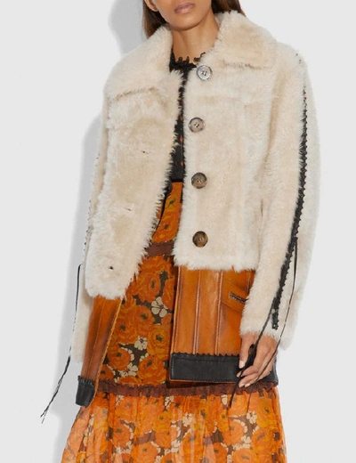 Shop Coach Shearling Leather Coat - Women's In Natural