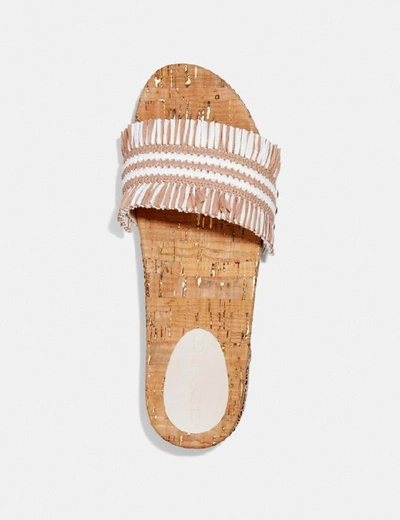 Shop Coach Brayden Sandal - Women's In Pale Blush/chalk