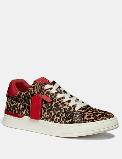 Shop Coach Lowline Luxe Low Top Sneaker In Natural/jasper