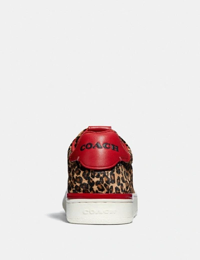 Shop Coach Lowline Luxe Low Top Sneaker In Natural/jasper