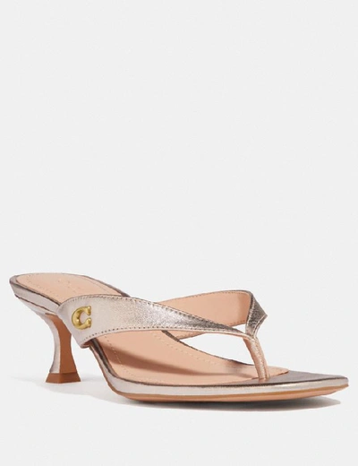 Shop Coach Audree Sandal - Women's In Champagne