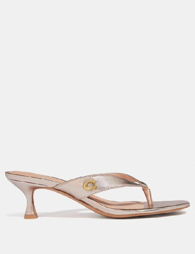 Shop Coach Audree Sandal - Women's In Champagne