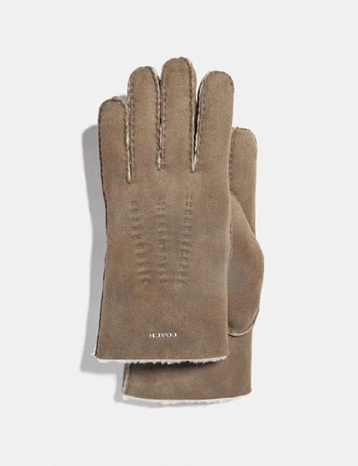 Shop Coach Shearling Gloves In Taupe