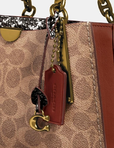 Shop Coach Dreamer In Signature Canvas With Snakeskin Detail In Tan/black Multi/brass