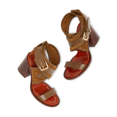 Shop Chloé Aria Sandals In Cacao Brown