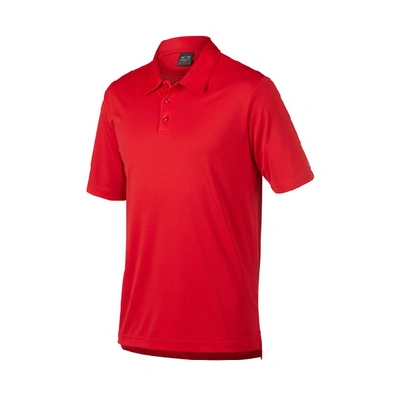 Shop Oakley Red Line Basic Polo