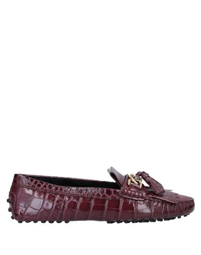 Tod's Loafers In Purple