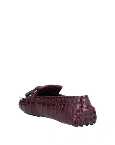 Tod's Loafers In Purple