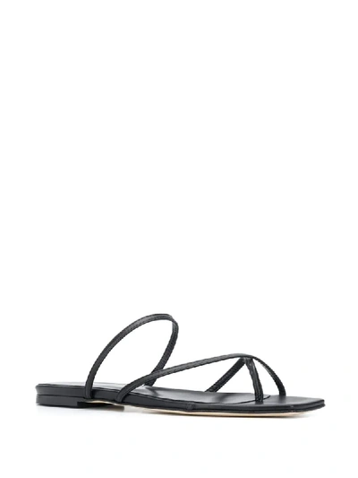 Shop Aeyde Marina Flat Sandals In Black