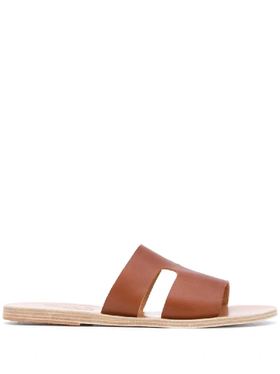 Shop Ancient Greek Sandals Apteros Flat Sandals In Brown