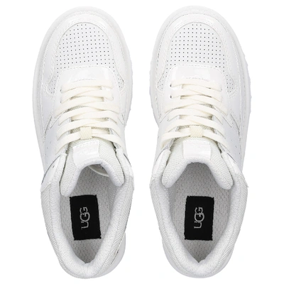 Shop Ugg Low-top Sneakers Highland In White