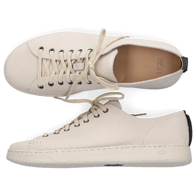 Shop Ugg Sneakers White Pismo