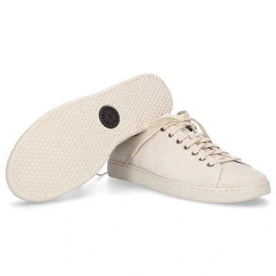 Shop Ugg Sneakers White Pismo