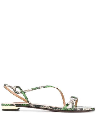 Shop Aquazzura Serpentine Flat Sandals In Green