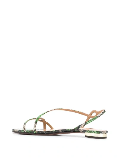 Shop Aquazzura Serpentine Flat Sandals In Green
