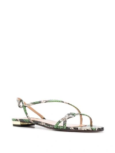 Shop Aquazzura Serpentine Flat Sandals In Green