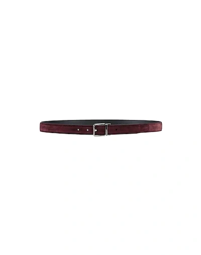 Shop Dolce & Gabbana Belts In Brown